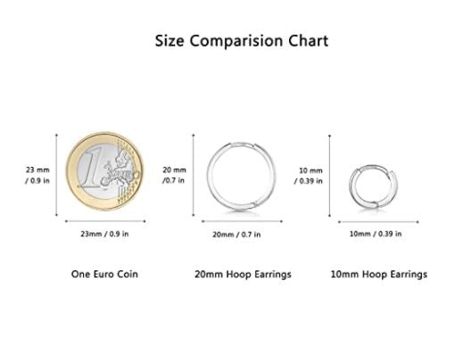 925 Sterling Silver Pair of Round Hinged Hoops - Sleeper Earrings